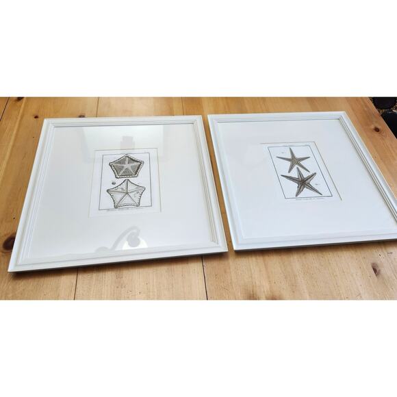 Lot 2 Large Pottery Barn Framed Starfish Beach Sea White Ocean Matte - Picture 3 of 7